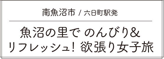 【南魚沼市 / 六日町駅発】魚沼の里でのんびり&リフレッシュ! 欲張り女子旅